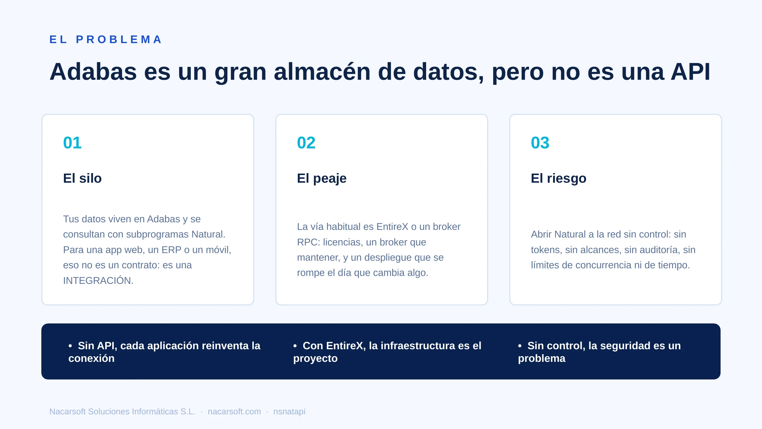 NSNatAPI — diapositiva 2